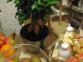 2014Christbaumversteigerung007