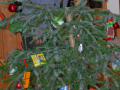 2014Christbaumversteigerung031