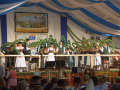 2014GaufestFreitag240