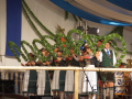 2014GaufestFreitag242