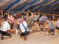 2014GaufestFreitag332